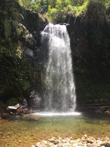 Lost Waterfalls, Boquete, Panama