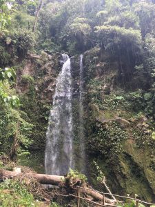 Lost Waterfalls, Boquete, Panama
