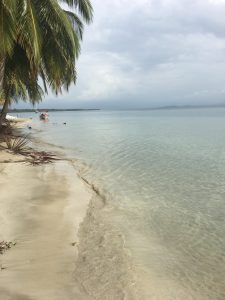 Playa de las Estrellas, Bocas del Toro, Panama